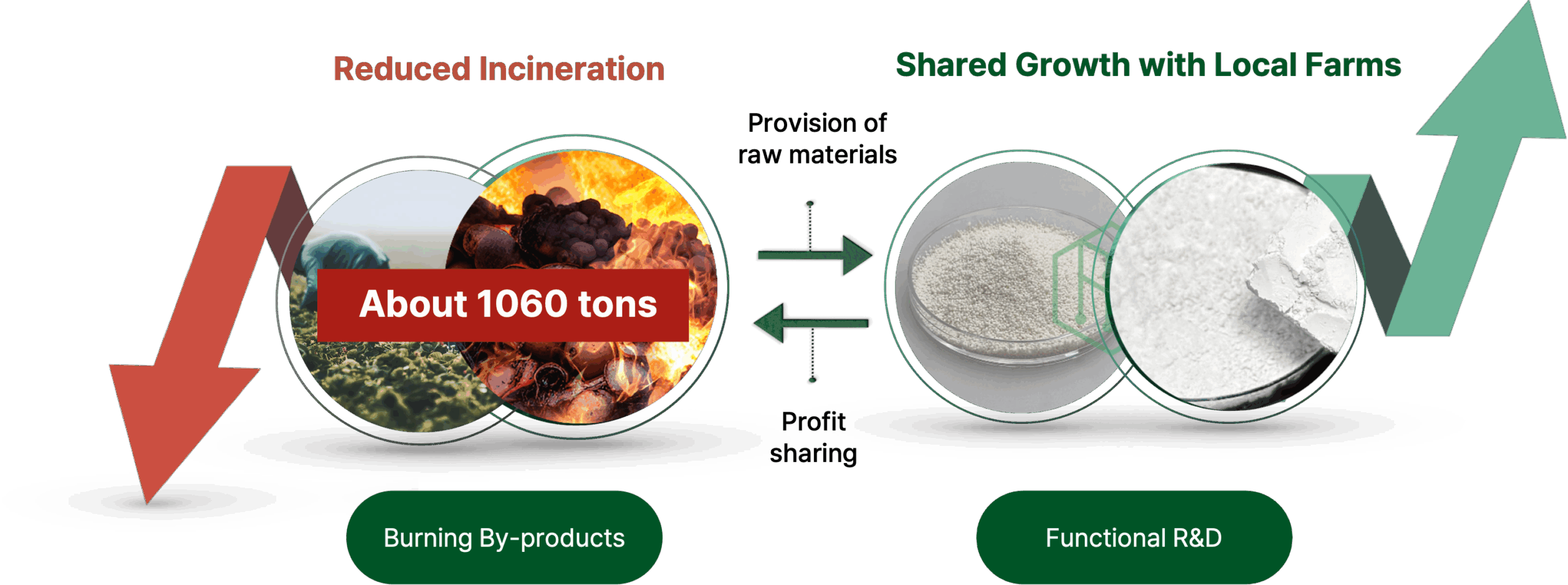 Eco-Friendly Materials Discovery