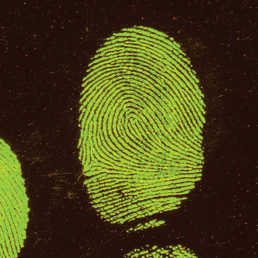 Product Common Info #5545