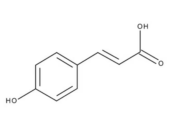 p-Hydroxycinnamic acid-RPH