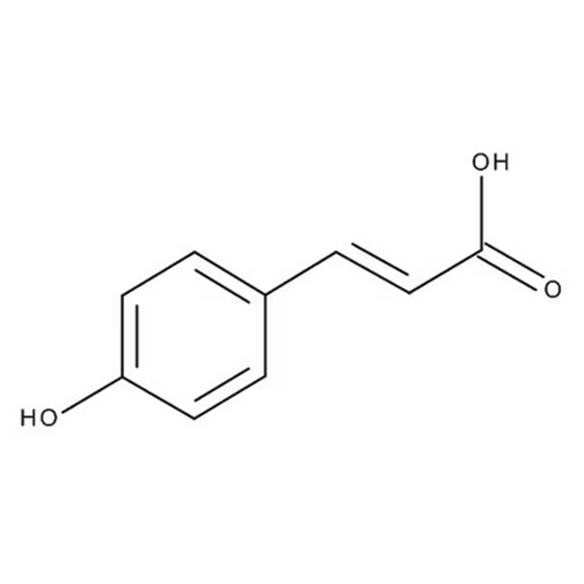 Product Common Info #5537