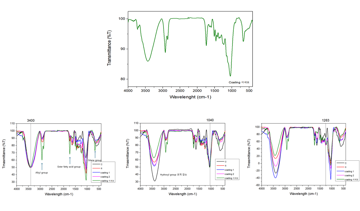 석세포 코팅 소재의 구조