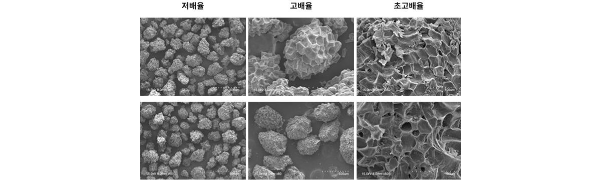 Pear Cell 구조의 안정성