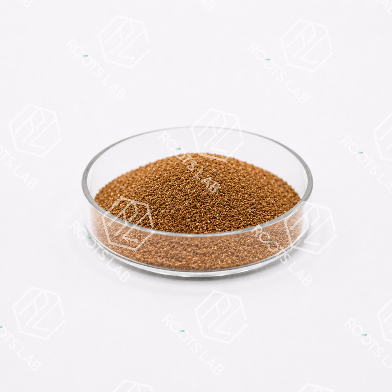 Stone Cell-RSSB01