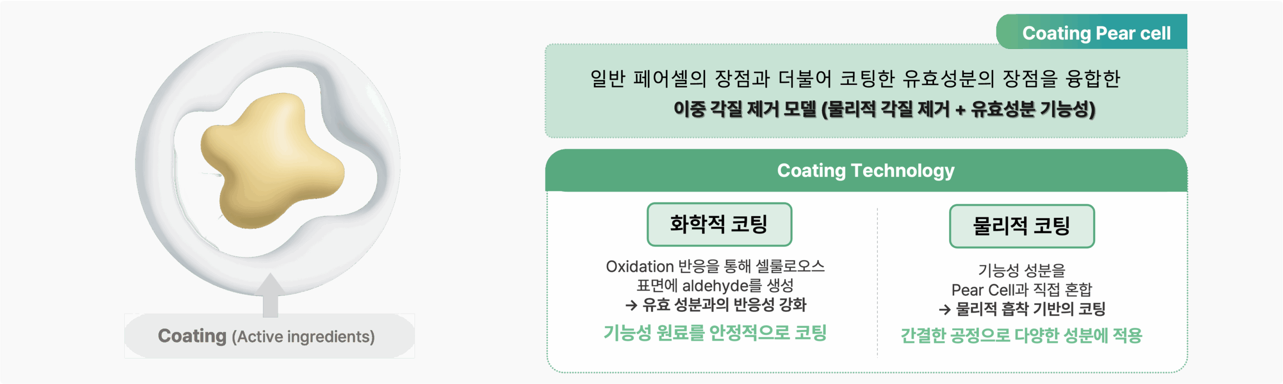 원료 코팅 기술