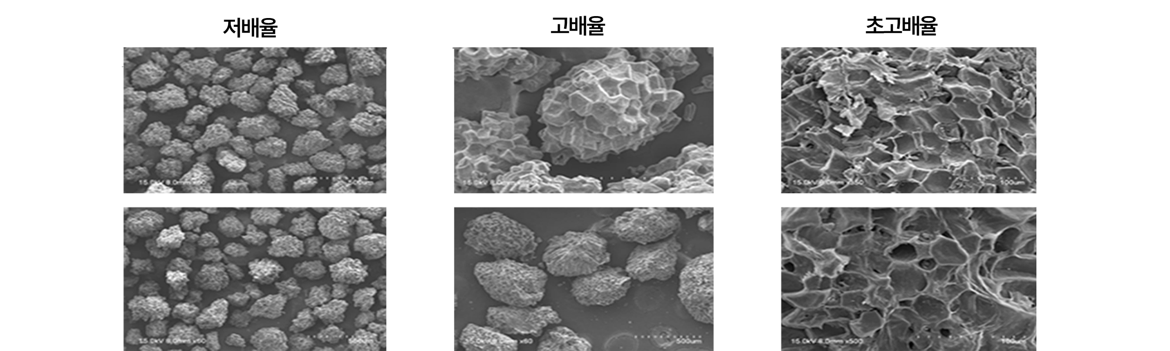 Pear Cell 구조의 안정성