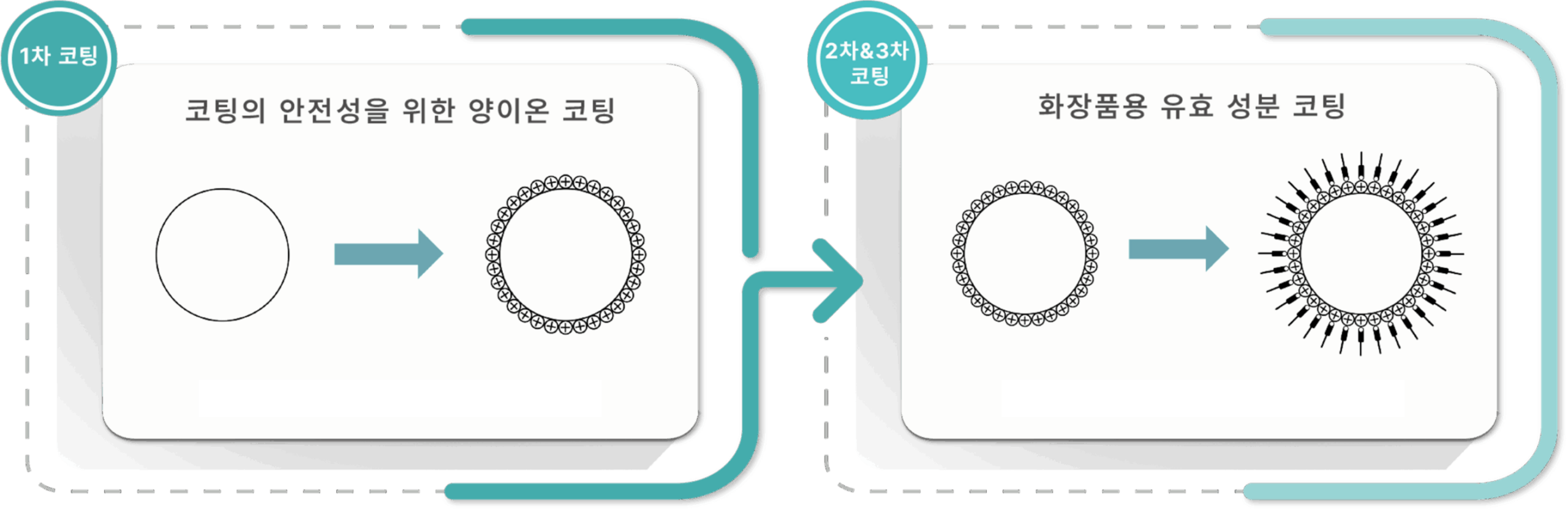 Pear Cell 코팅 기술