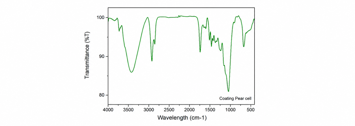 Structure of Pear Cell Coating Material