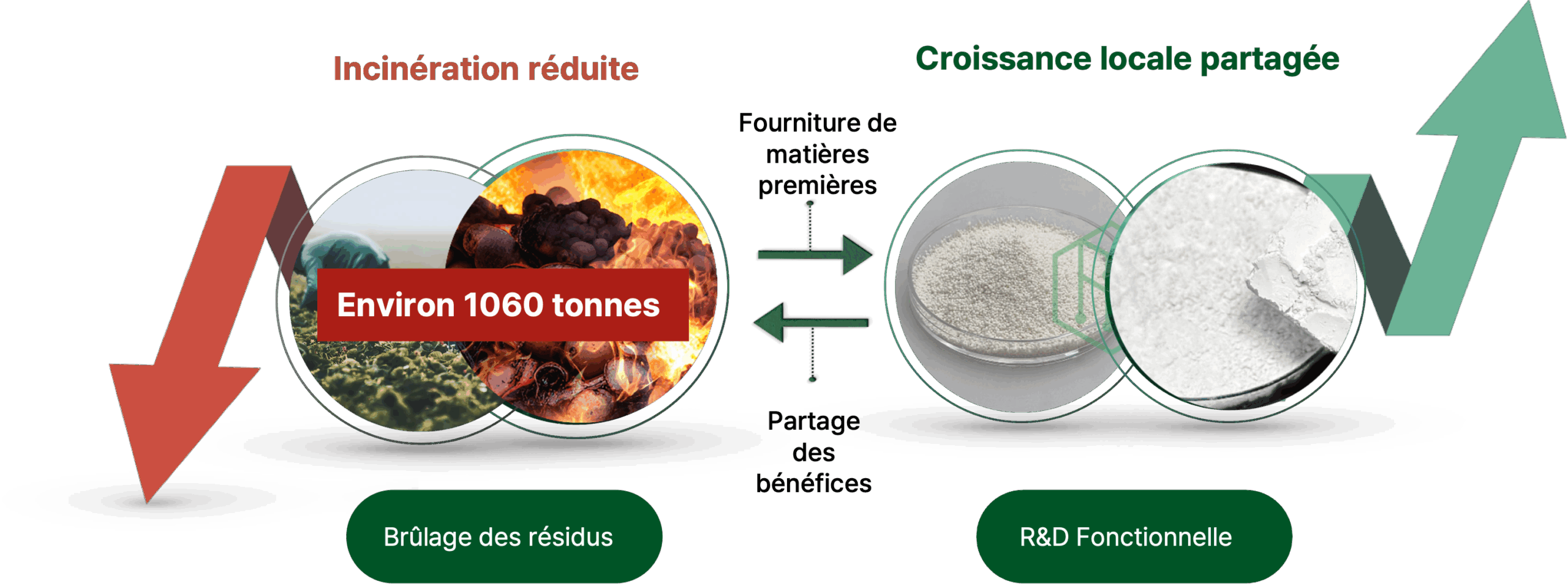 Matériaux écologiques – Découverte