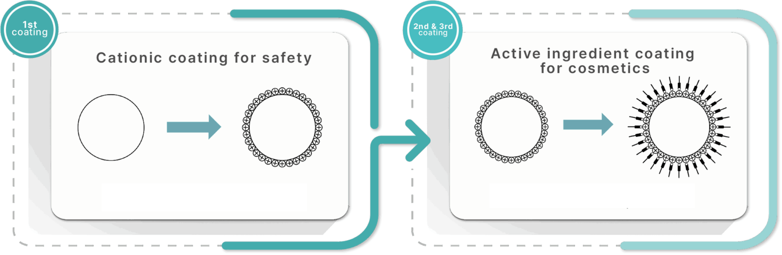 Pear Cell Coating Technology